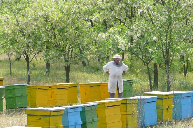 Bees Adventure in Romania - Private Day Trip from Bucharest - Key Things to Know Before You Go