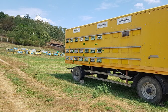 Bees Adventure in Romania - Private Day Trip from Bucharest - Dessert Honey Tasting: A Sweet Finish With Context