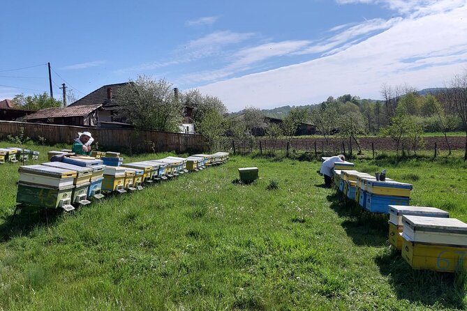 Bees Adventure in Romania - Private Day Trip from Bucharest - Price and Value: Is $289.40 Per Person Fair?
