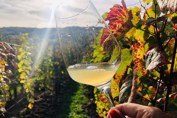 Bike & Wine tour in Dealu Mare wineland - Dealu Mare bike and wine day, without the usual travel friction