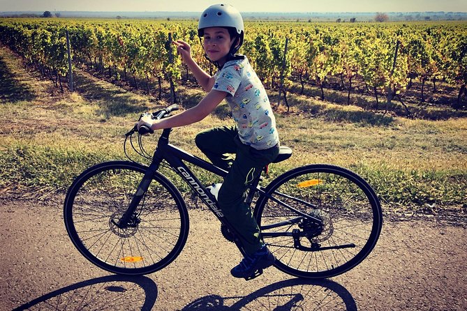 Bike & Wine tour in Dealu Mare wineland - Conacul Bellu manor: a 30-minute culture breather before the wine