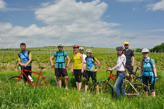Bike & Wine tour in Dealu Mare wineland - Wine cellar visits and tastings: what the tasting part actually gives you