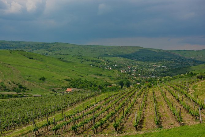 Bike & Wine tour in Dealu Mare wineland - Food and drinks on the go: stay fueled for the day