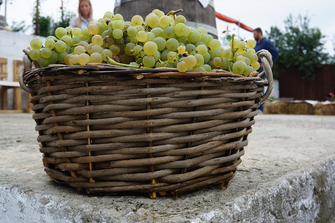 Bike & Wine tour in Dealu Mare wineland - Photos along the tour, and why you will appreciate them later