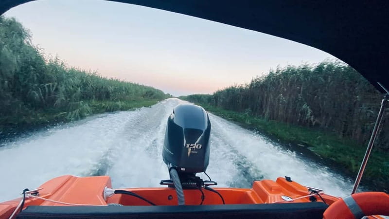Boat Trip to Caraorman Forest – Danube Delta (5-6 hours) - Lake Cabluata pelicans and swans, plus the slow thrill of lily-lined paths