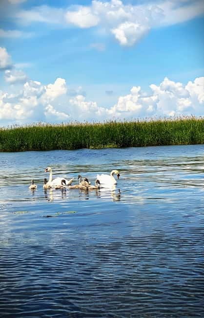 Boat Trip to Caraorman Forest – Danube Delta (5-6 hours) - Price and value: $23 boat trip, plus the add-ons that shape your total