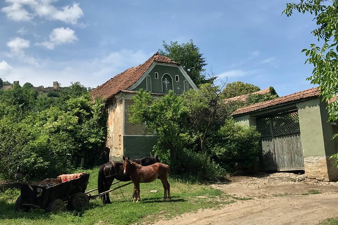 Bran and Rasnov Castles Tour from Brasov - Practical tips to make the most of your 4 hours