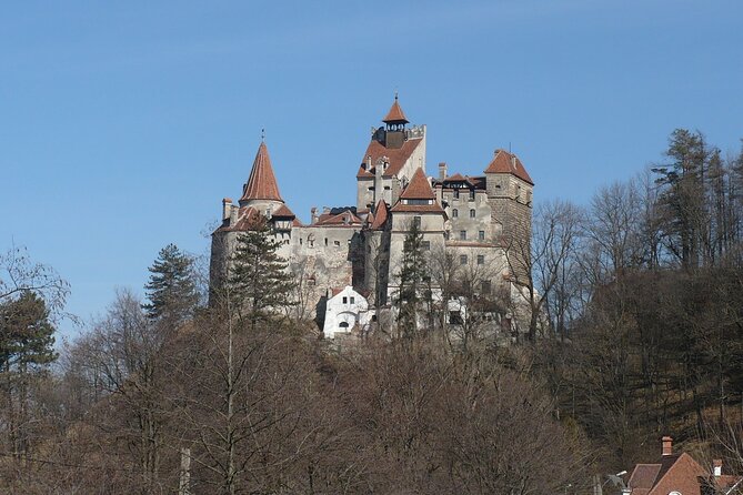 Bran Castle and more options private tour from Brasov - Should You Book This Tour from Brasov?