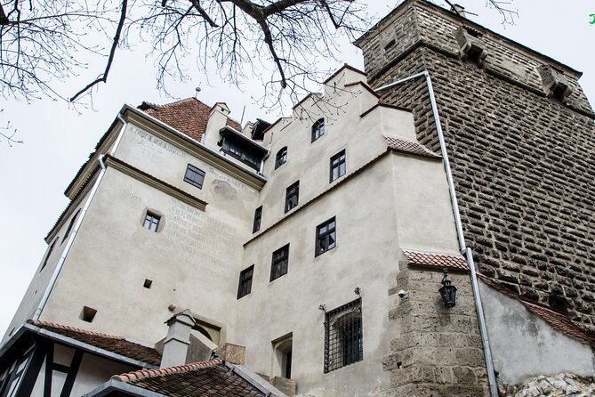 Bran Castle, Bear Sanctuary, and Rasnov Fortress Half Day Tour - A Perfect Half-Day Route From Brașov