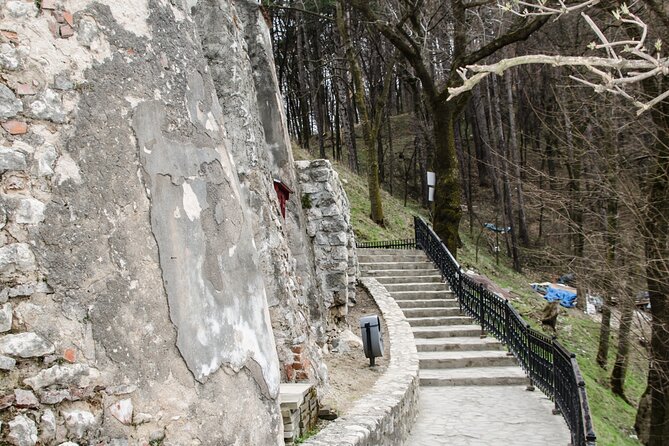 Bran Castle, Bear Sanctuary, and Rasnov Fortress Half Day Tour - LiBEARty Bear Sanctuary in Zărnești, 69 Hectares of Rescue