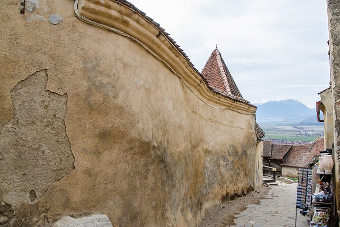 Bran Castle, Bear Sanctuary, and Rasnov Fortress Half Day Tour - Bran Castle, Dracula’s Castle, and the Real Story Behind the Spooky Mood