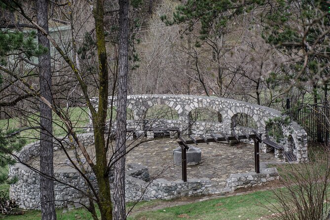 Bran Castle, Bear Sanctuary, and Rasnov Fortress Half Day Tour - Pickup, Car Comfort, and How the Schedule Actually Feels