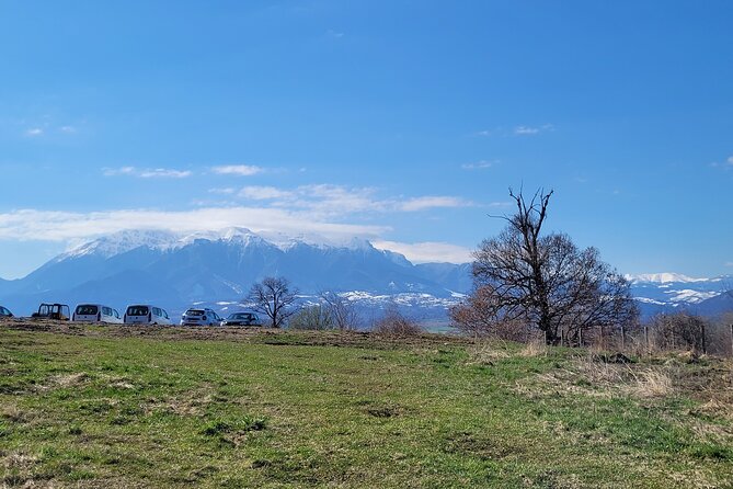 Bran Castle & Bear Sanctuary from Brasov - Optional Peles Castle - Optional Peles Castle: when the add-on makes sense