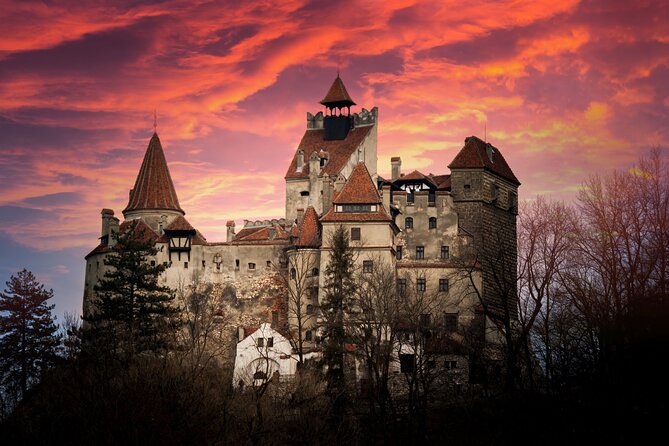 Bran Castle Entry Tickets - Royal garden, artificial lake, and Queen Maria’s Tea House