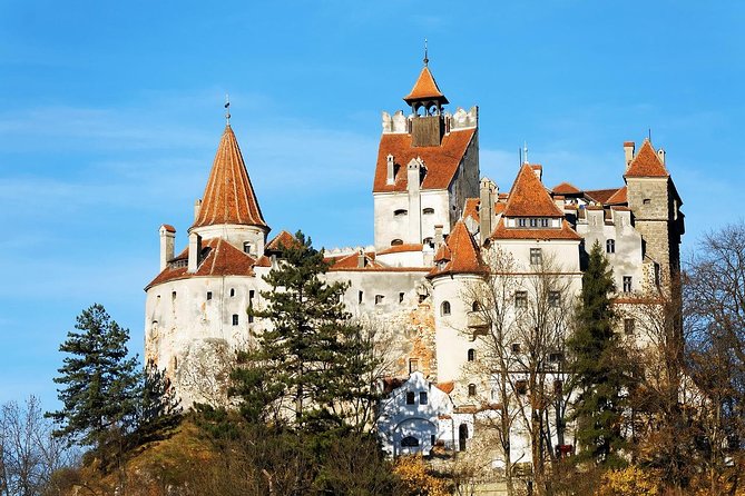 Bran Castle, Peles Castle and Brasov City - Private Tour from Bucharest - Pickup timing, comfort, and how the day feels