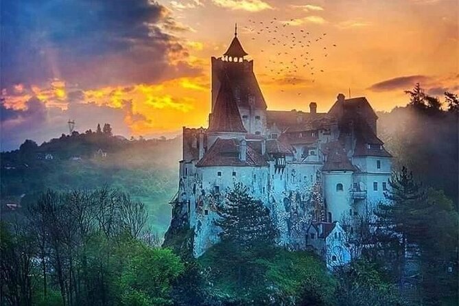 Bran Castle, Rasnov Fortress, Harman & Prejmer Fortified Churches Day Tour - In the van: air-conditioned comfort, live commentary, and skipping lines