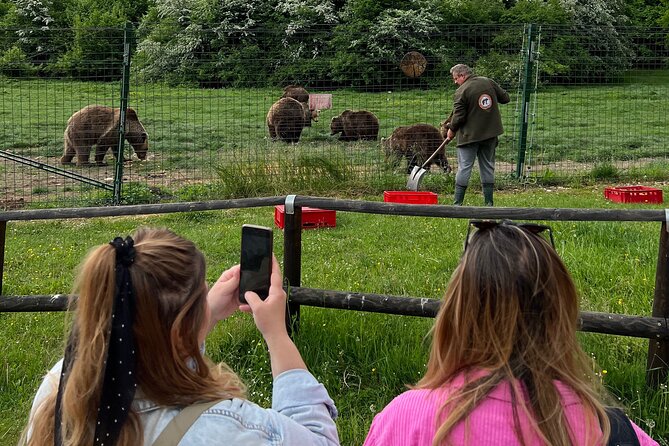 Bran (Dracula) Castle, Bear Sanctuary, Rasnov Fortress & Palinca Distillery - Liberty Bear Sanctuary Zărnești: the meaningful stop you’ll remember