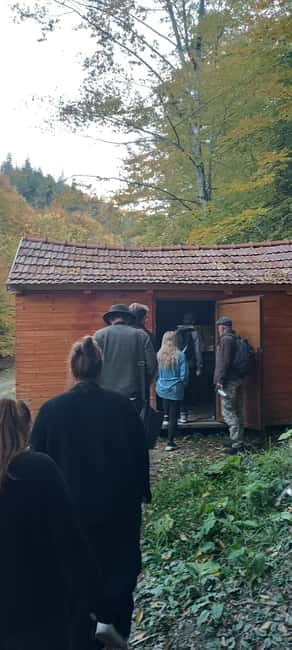 Brașov: 4-Hour Bear Watching Tour in Carpathian Mountains - How the 4-hour Brașov bear tour really unfolds