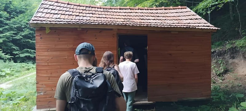 Brașov: 4-Hour Bear Watching Tour in Carpathian Mountains - At the bear hide: what the waiting experience feels like