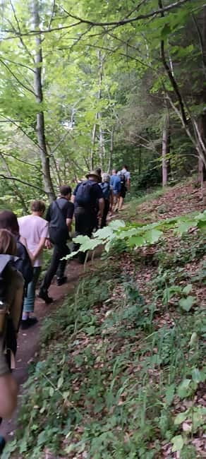 Brașov: 4-Hour Bear Watching Tour in Carpathian Mountains - Bear sightings: how close you can get and what to expect