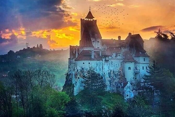 Brasov: Bear Sanctuary, Bran Castle & Rasnov Fortress GUIDED Tour - Timing, Walking, Weather, and What to Bring
