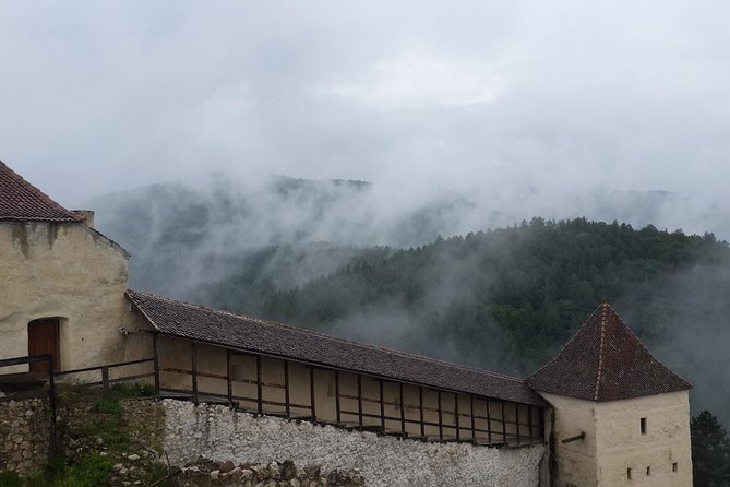 Brasov: Bear Sanctuary, Bran Castle & Rasnov Fortress GUIDED Tour - Final Call: Should You Book This Brasov Tour?