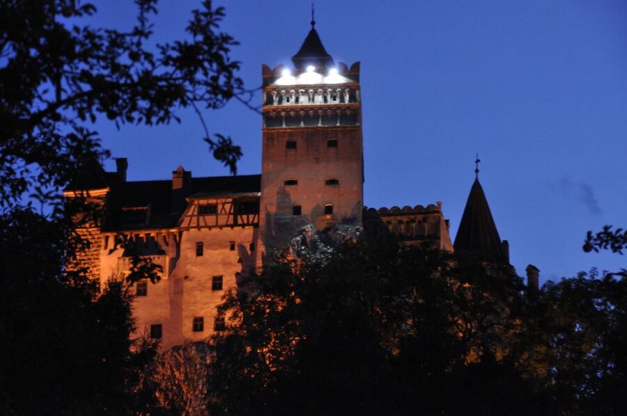 Brasov: Bear Sanctuary, Bran Castle & Rasnov Fortress Tour - Rasnov Fortress: A Hilltop Walk With Big Mountain Views