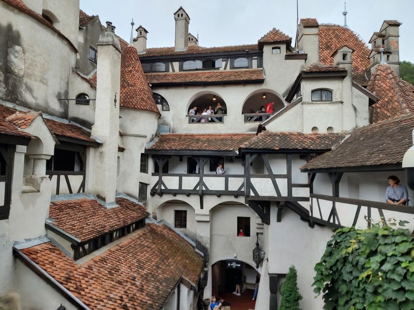 Brasov: Bear Sanctuary, Bran Castle & Rasnov Fortress Tour - Small-Group Touring: Up To 8 People And A Real English Guide