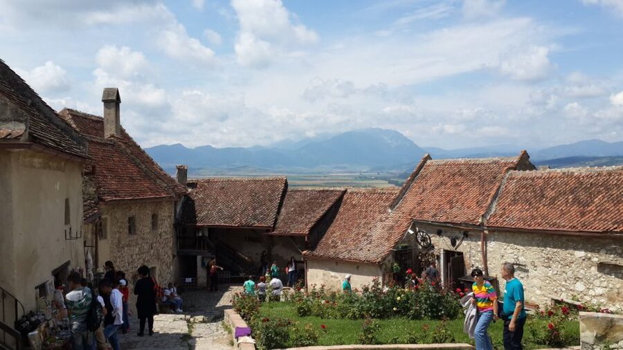 Brasov: Bear Sanctuary, Bran Castle & Rasnov Fortress Tour - Price and Logistics: Does $61 Really Make Sense?