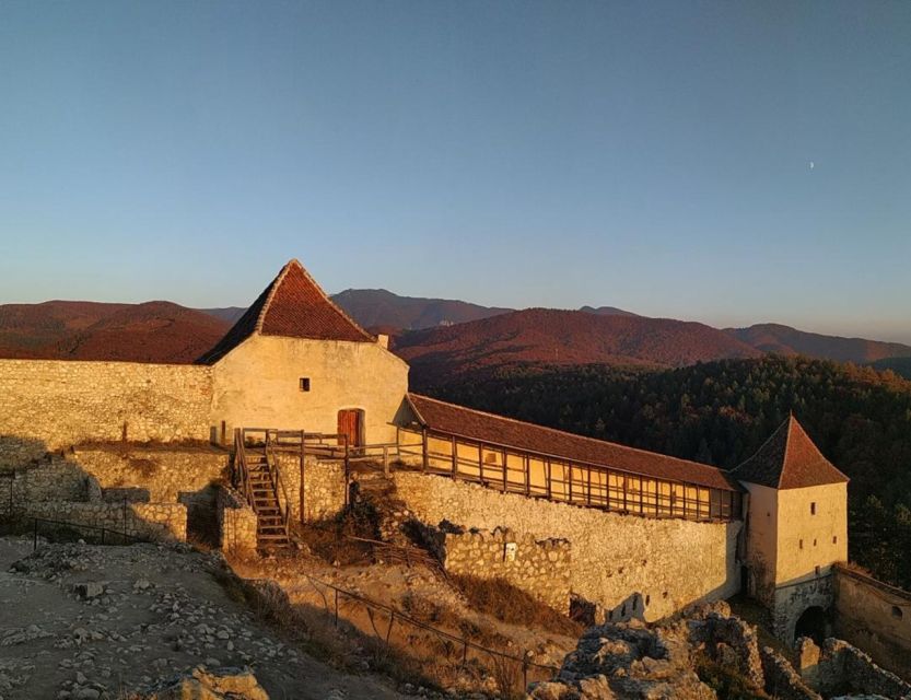 Brasov: Bear Sanctuary, Bran Castle & Rasnov Fortress Tour - Should You Book This Bear Sanctuary, Bran Castle, And Rasnov Fortress Tour?