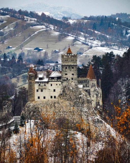 Brasov: Bear Sanctuary, Bran Castle & Rasnov Fortress Tour - Brown Bear Sanctuary Zarnesti: Up Close With Rescued Brown Bears