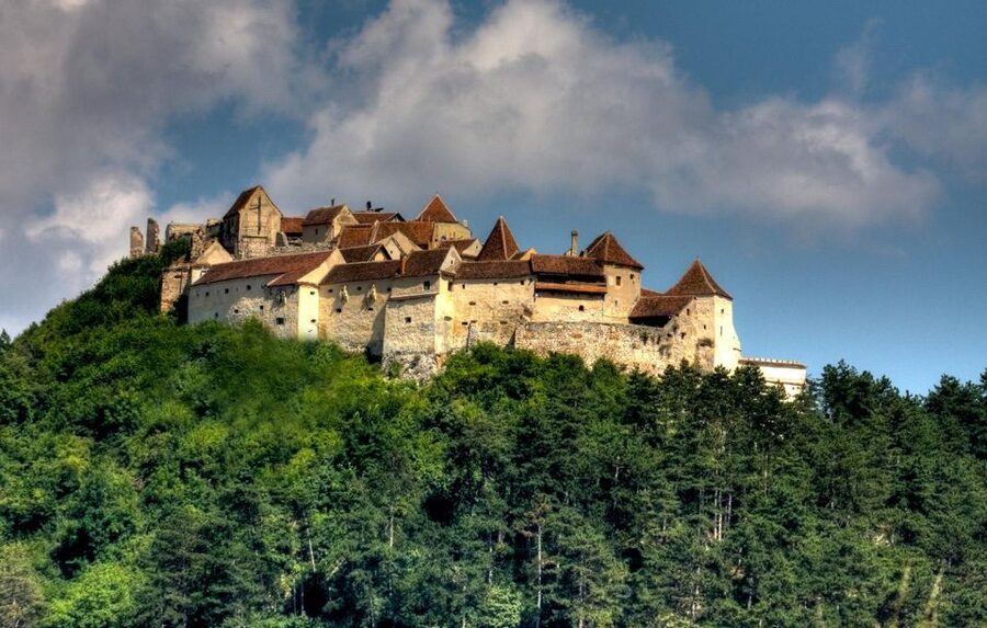 Brasov: Bear Sanctuary, Dracula Castle, and Râşnov Fortress - Why this Brasov day trip works so well