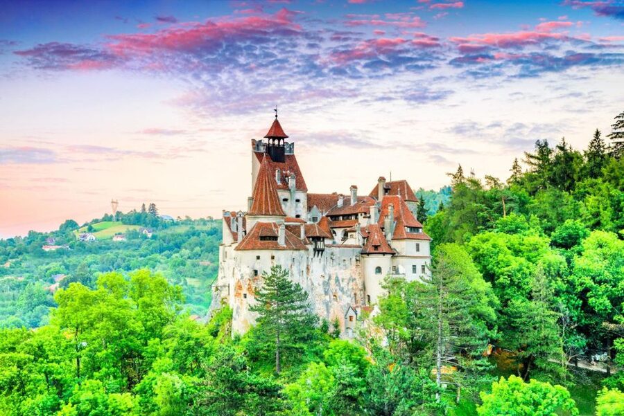 Brasov: Bear Sanctuary, Dracula Castle, and Râşnov Fortress - Walking, footwear, and weather: the day’s comfort checklist