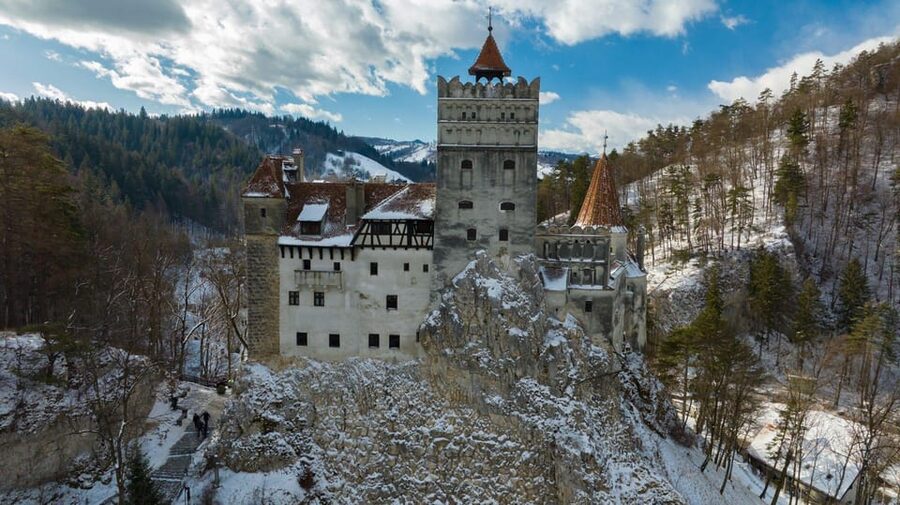 Brasov: Bear Sanctuary, Dracula Castle, and Râşnov Fortress - Price and value: what you pay for at $47 plus entry fees