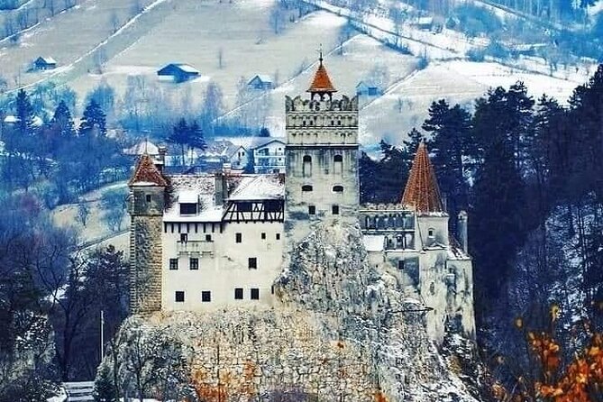 Brasov: Bears Sanctuary, Rasnov Fortress, Bran Castle GUIDED Tour - A Full-Day Transylvania Combo That Actually Works