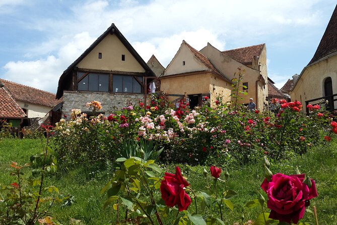 Brasov: Bears Sanctuary, Rasnov Fortress, Bran Castle GUIDED Tour - What I’d Recommend This Tour For