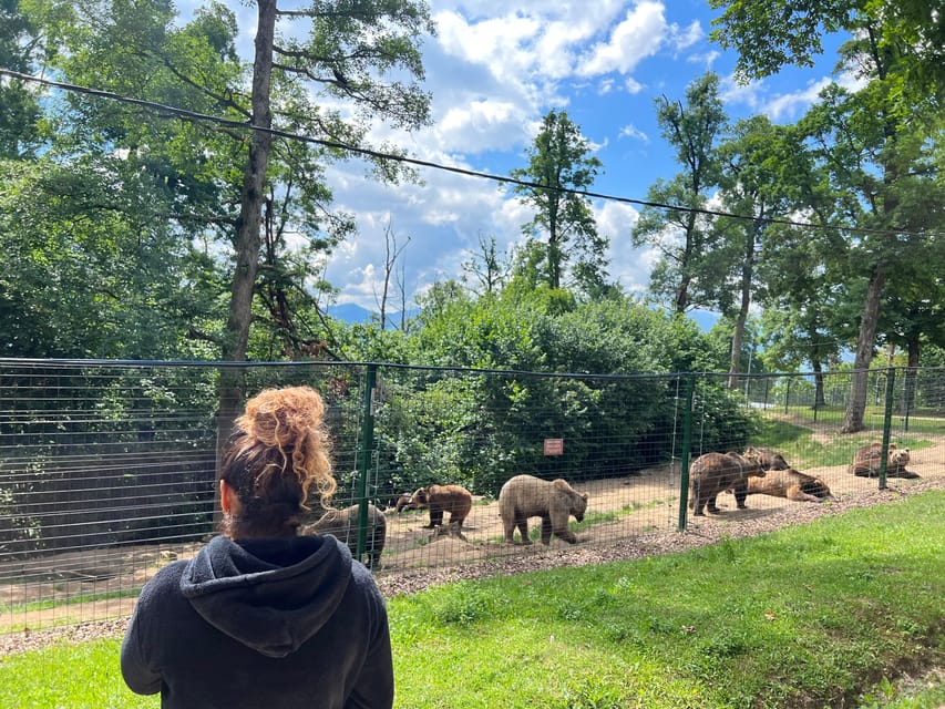 Brasov: Bran Castle, Bear Sanctuary, Rasnov (Peles Optional) - Key Things You Should Know Before You Go