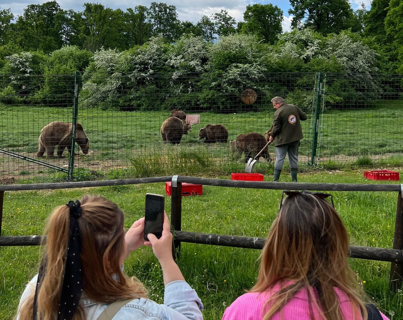 Brasov: Bran Castle, Bear Sanctuary, Rasnov (Peles Optional) - Liberty Bear Sanctuary Zarnesti: Semi-Wild Life, Cub Sightings, and Bear Safety