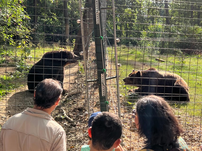 Brasov: Bran Castle, Bear Sanctuary, Rasnov (Peles Optional) - Walking, Comfort, and Who This Trip Fits Best