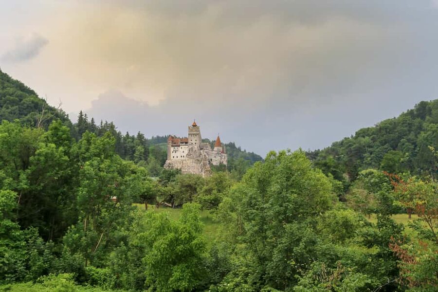 Brașov: Bran, Râșnov, and Peleș Castles Tour with Guide - Key highlights to look for