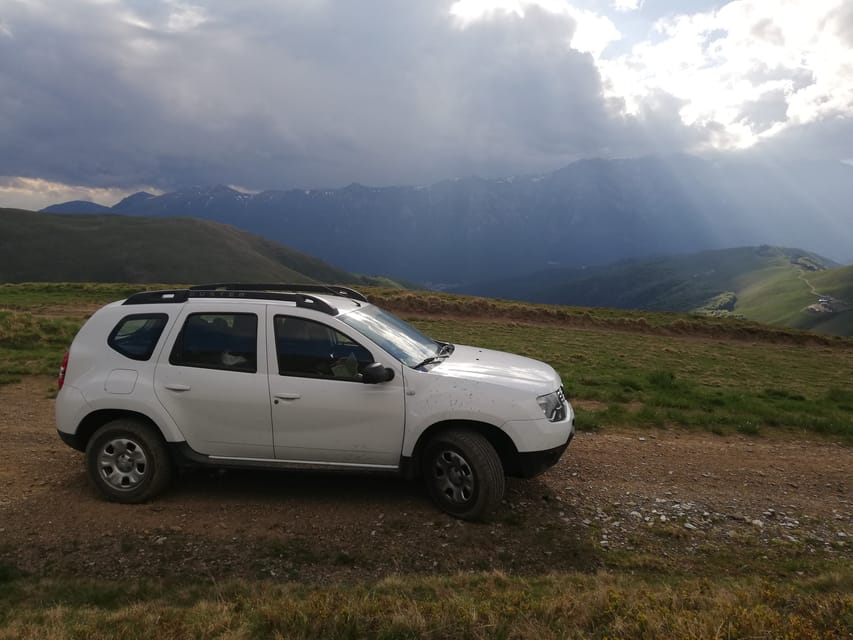 Brasov: Brown Bear & Wildlife Watching - Price and value, is $150 worth it?