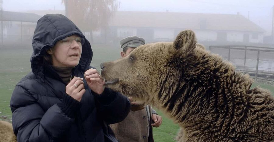 Brasov: Libearty Bear Sanctuary - Key things that make this sanctuary tour worth your time
