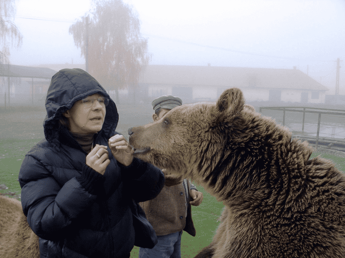 Brasov: Libearty Bear Sanctuary - The guided walk across the sanctuary’s forest grounds