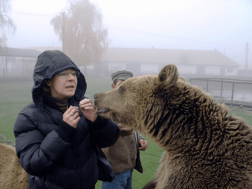 Brasov: Libearty Bear Sanctuary - Getting to the sanctuary, and how the 5-hour window really feels
