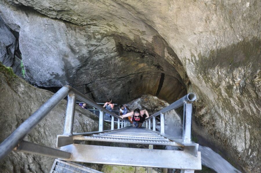 Brasov: Small-Group 7 Ladders Canyon Day Trip - Why Seven Ladders Canyon feels special from the start