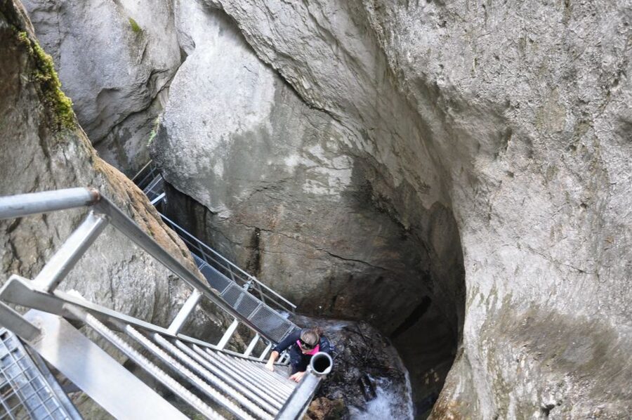 Brasov: Small-Group 7 Ladders Canyon Day Trip - The forest walk to the canyon, about 45 minutes