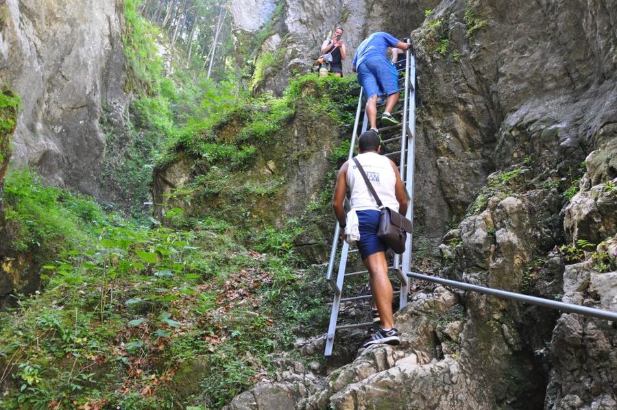 Brasov: Small-Group 7 Ladders Canyon Day Trip - Inside Canionul Sapte Scari: ladders, bridges, waterfalls up close