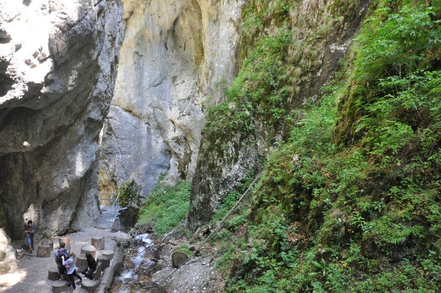 Brasov: Small-Group 7 Ladders Canyon Day Trip - Price and value: $76 makes sense for what’s included