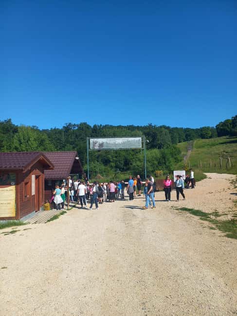 Brasov: Tour with Transfer Libearty Bear Sanctuary - Small Group Size and Bilingual Guidance (English and Hungarian)