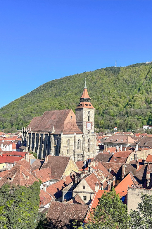 Brasov: Walking Tour of the Old Town & Photo Hotspots - The quick guided stop that turns strangers into a story